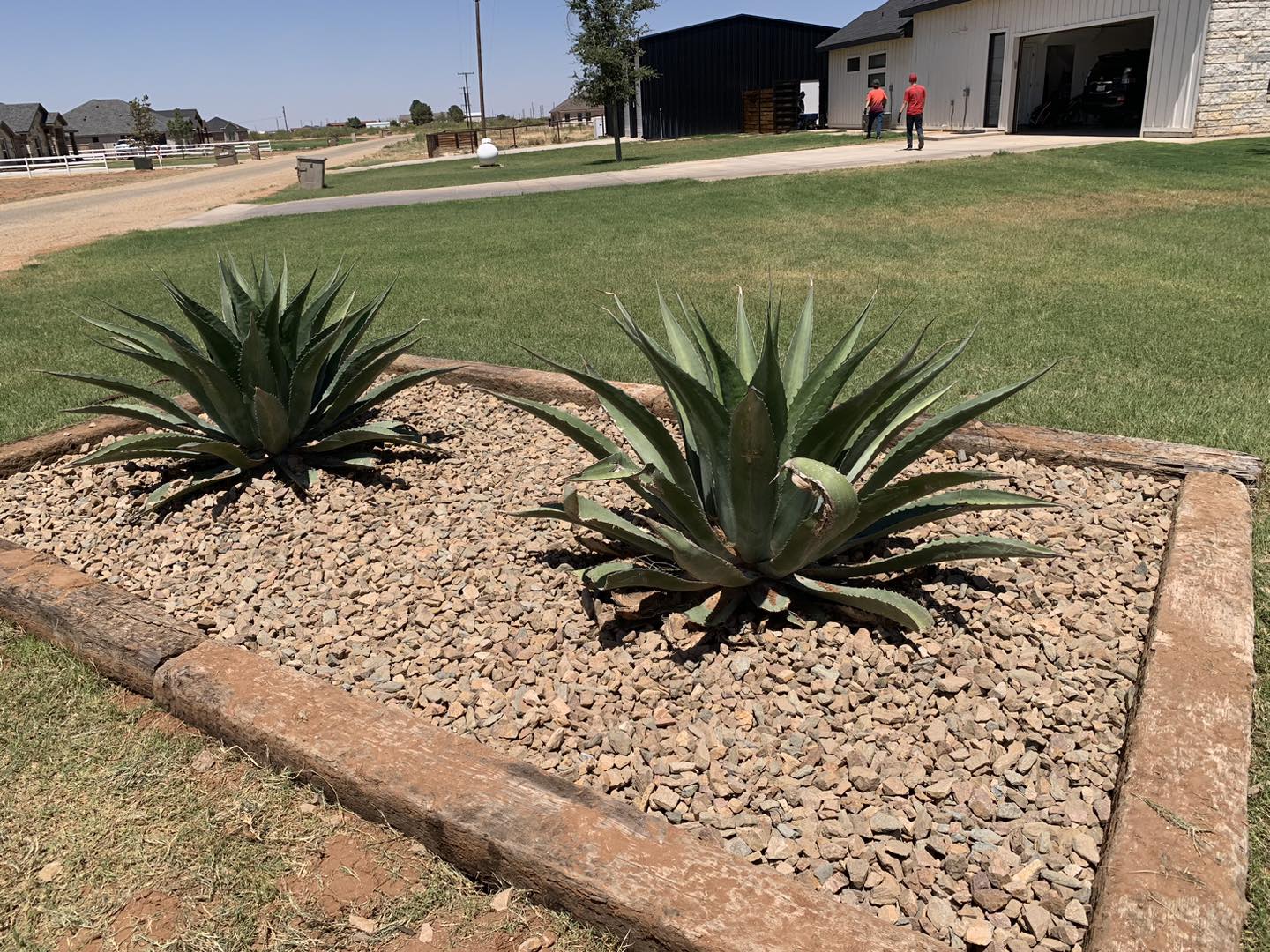 professional landscaping